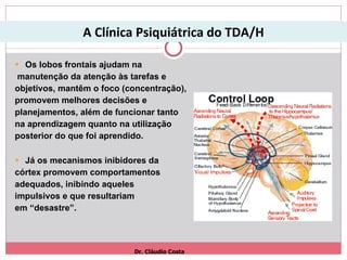 A Clínica Psiquiátrica do TDA/H Os lobos frontais ajudam na manutenção da atenção às tarefas e  objetivos, mantêm o foco (concentração),  promovem melhores decisões e  planejamentos, além de funcionar tanto  na aprendizagem quanto na utilização  posterior do que foi aprendido.  Já os mecanismos inibidores da córtex promovem comportamentos  adequados, inibindo aqueles  impulsivos e que resultariam  em “desastre”.  Dr. Cláudio Costa 