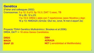 6
Genética
(Fisher and colleagues 2002):
Cromosomas: 5 p 12; 5 p13; 5p 15.3 ( DAT 1) asoc, TB
10 q 26; 12 q 23;
11p 15.5: DRD4 ( alelo con 7 repeticiones )asoc Nicotina y depr.
16 p 13- NMDA2A (Grin2a: Glut rec, ionot, N met d aspart 2a)
Proyecto TDAH Genético Multicéntrico ( Brookes et al 2006):
DRD4, DAT1 + 16 otros Genes Candidatos.
DRD5
MAOA
SNAP 25
DBH
ADRA2A
NET ( sensibilidad al Metilfenidato)
 