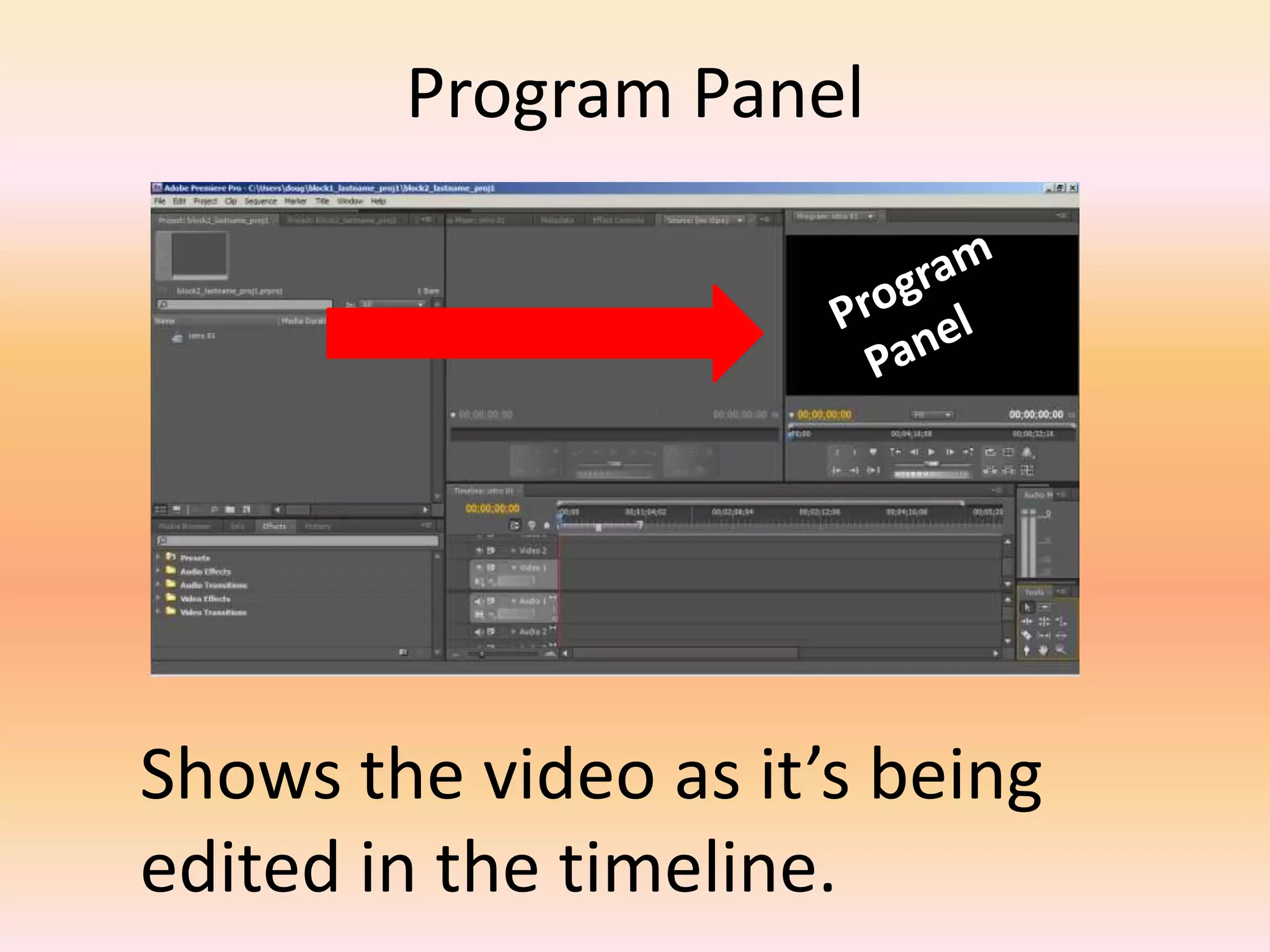 Program PanelProgram PanelShows the video as it’s being edited in the timeline.