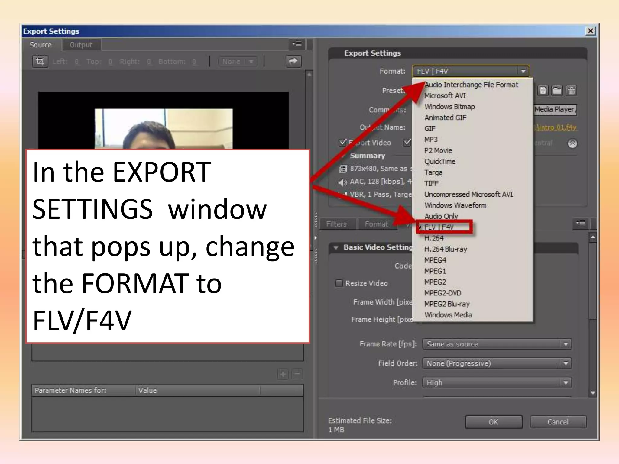 In the EXPORT SETTINGS  window that pops up, change the FORMAT to FLV/F4V