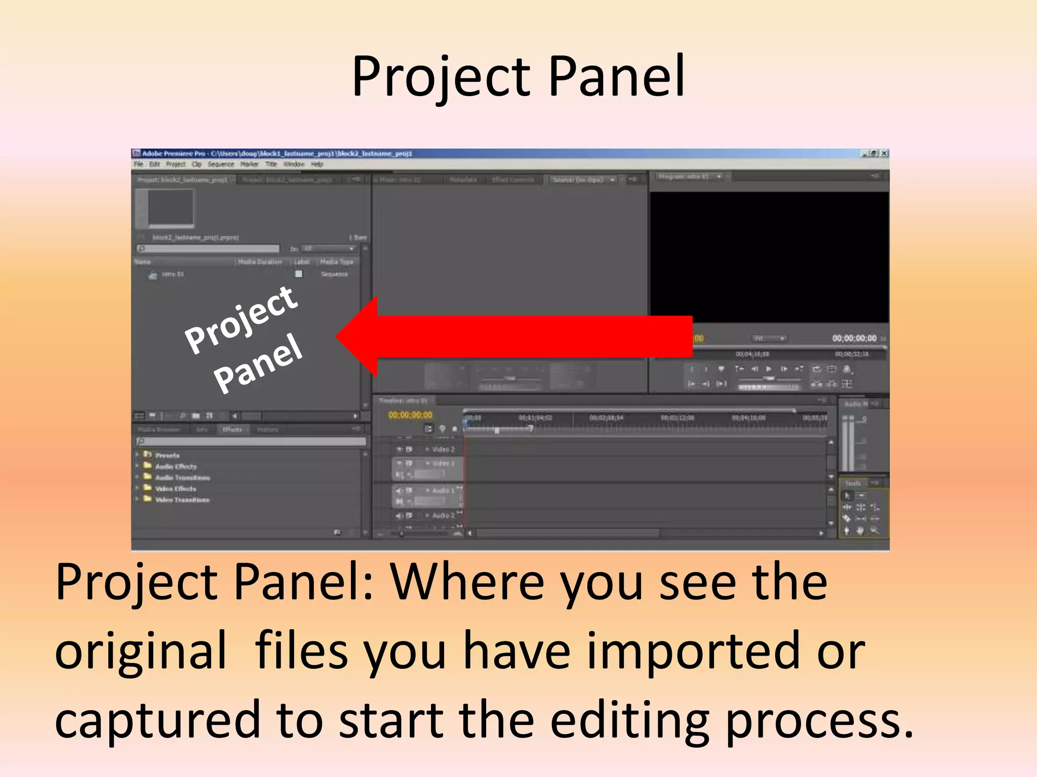 Project PanelProject PanelProject Panel: Where you see the original  files you have imported or captured to start the editing process.