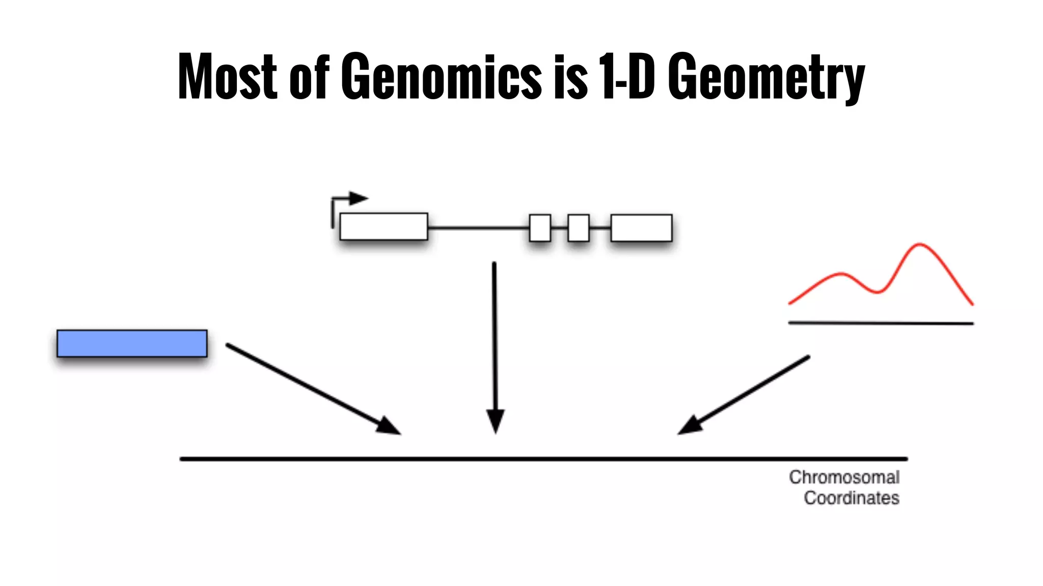 Most of Genomics is 1-D Geometry 
 