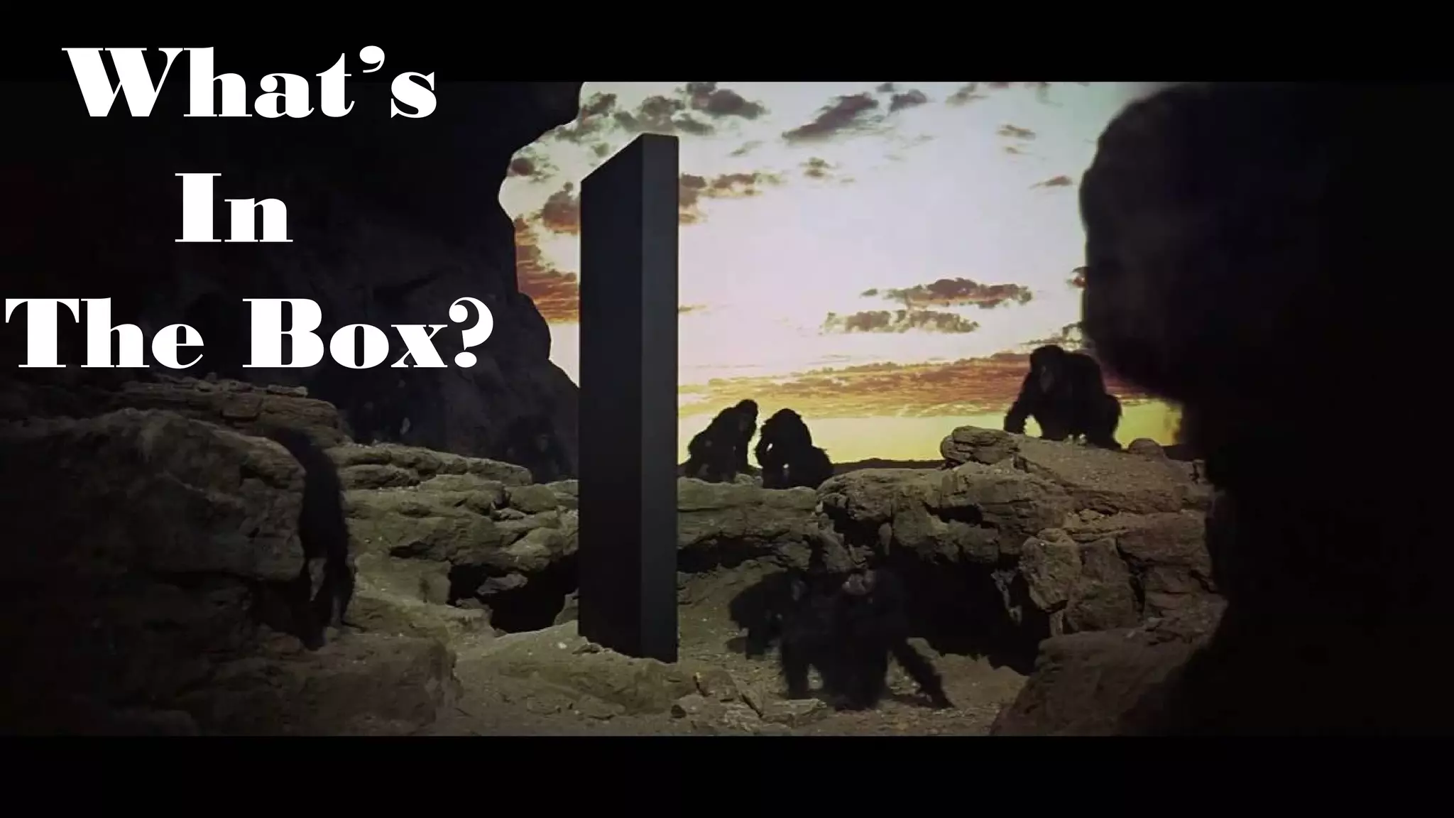 What’s
In
The Box?
 