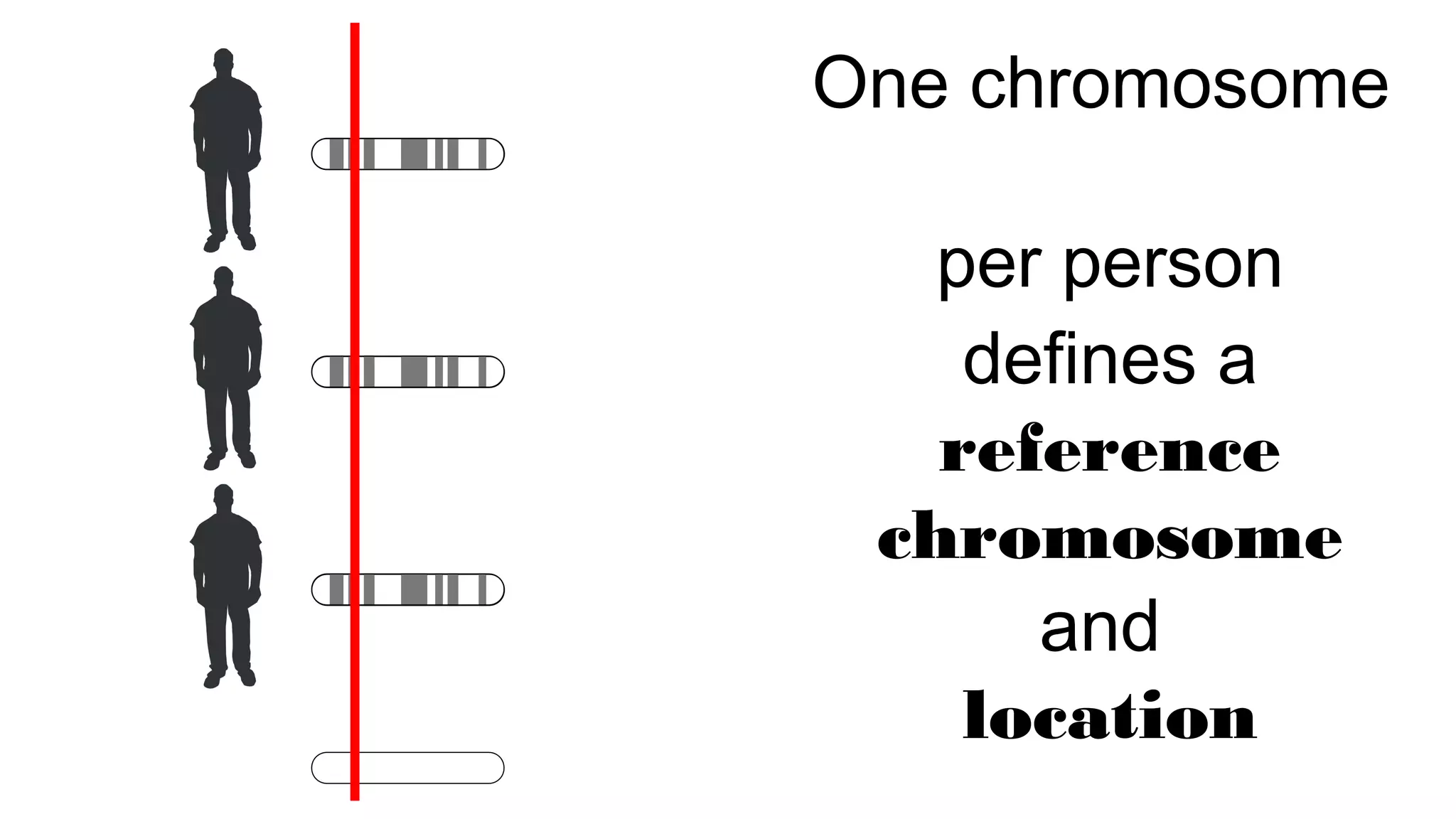 One chromosome
per person
defines a
reference
chromosome
and
location
 