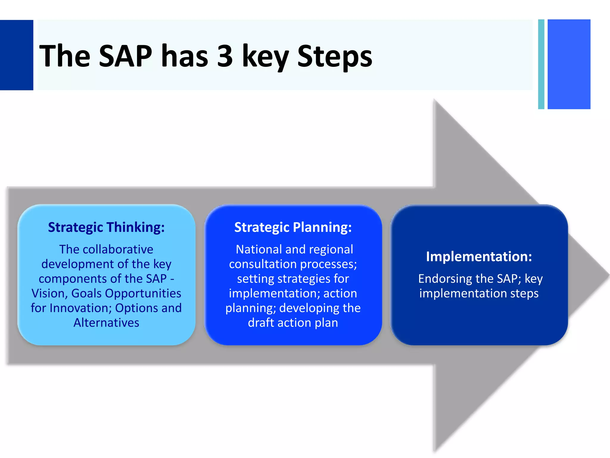 +
The SAP has 3 key Steps
Strategic Thinking:
The collaborative
development of the key
components of the SAP -
Vision, Goals Opportunities
for Innovation; Options and
Alternatives
Strategic Planning:
National and regional
consultation processes;
setting strategies for
implementation; action
planning; developing the
draft action plan
Implementation:
Endorsing the SAP; key
implementation steps
 