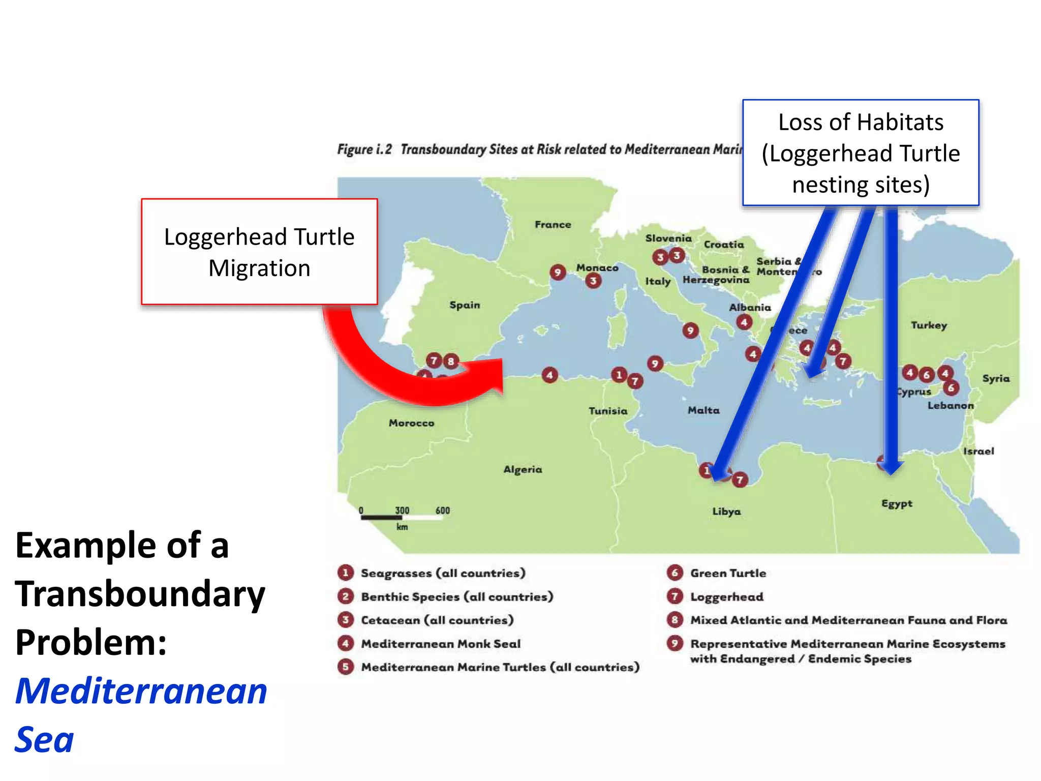 +
Example of a
Transboundary
Problem:
Mediterranean
Sea
Loss of Habitats
(Loggerhead Turtle
nesting sites)
Loggerhead Turtle
Migration
 