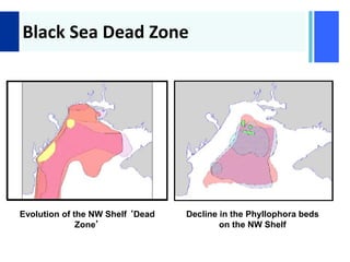 +
Black Sea Dead Zone
Evolution of the NW Shelf ‘Dead
Zone’
Decline in the Phyllophora beds
on the NW Shelf
 