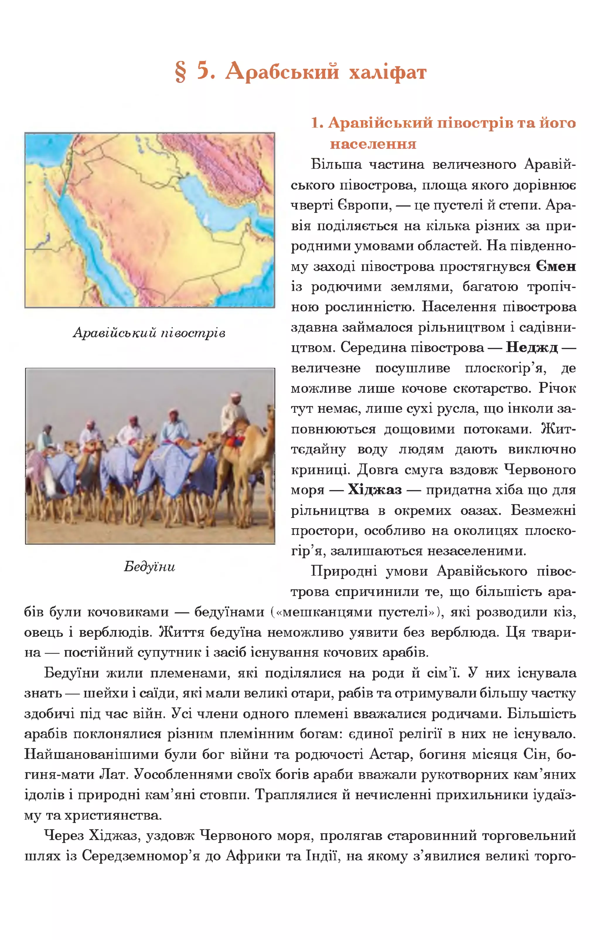 § 5. Арабський халіфат
Аравійський півострів
1. Аравійський півострів та його
населення
Більша частина величезного Аравій­
ського півострова, площа якого дорівнює
чверті Європи, — це пустелі й степи. Ара­
вія поділяється на кілька різних за при­
родними умовами областей. На південно­
му заході півострова простягнувся Ємен
із родючими землями, багатою тропіч­
ною рослинністю. Населення півострова
здавна займалося рільництвом і садівни­
цтвом. Середина півострова — Неджд —
величезне посушливе плоскогір’я, де
можливе лише кочове скотарство. Річок
тут немає, лише сухі русла, що інколи за­
повнюються дощовими потоками. Жит­
тєдайну воду людям дають виключно
криниці. Довга смуга вздовж Червоного
моря — Хіджаз — придатна хіба що для
рільництва в окремих оазах. Безмежні
простори, особливо на околицях плоско­
гір’я, залишаються незаселеними.
Природні умови Аравійського півос­
трова спричинили те, що більшість ара­
бів були кочовиками — бедуїнами («мешканцями пустелі»), які розводили кіз,
овець і верблюдів. Життя бедуїна неможливо уявити без верблюда. Ця твари­
на — постійний супутник і засіб існування кочових арабів.
Бедуїни жили племенами, які поділялися на роди й сім’ї. У них існувала
знать — шейхи і саїди, які мали великі отари, рабів та отримували більшу частку
здобичі під час війн. Усі члени одного племені вважалися родичами. Більшість
арабів поклонялися різним племінним богам: єдиної релігії в них не існувало.
Найшанованішими були бог війни та родючості Астар, богиня місяця Сін, бо-
гиня-мати Лат. Уособленнями своїх богів араби вважали рукотворних кам’яних
ідолів і природні кам’яні стовпи. Траплялися й нечисленні прихильники іудаїз­
му та християнства.
Через Хіджаз, уздовж Червоного моря, пролягав старовинний торговельний
шлях із Середземномор’я до Африки та Індії, на якому з’явилися великі торго­
Бедуїни
 