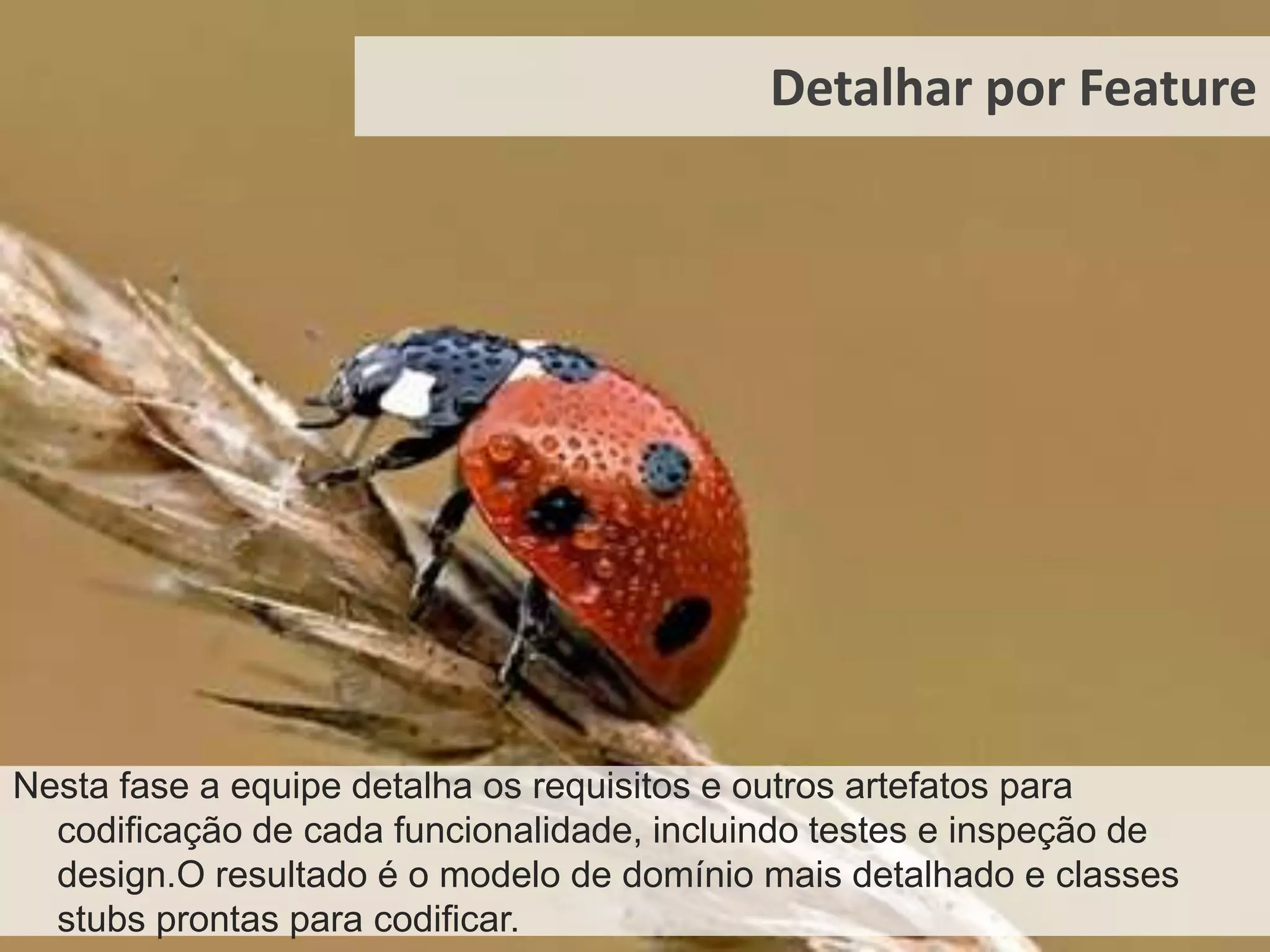 Desenvolver Modelo AbrangenteConjunto de técnicas para entendimento do domínio de negócio em questão. Seu resultado é um modelo de objetos de alto nível, que guiará a equipe durante os ciclos de construção.