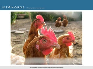 64

http://www.flickr.com/photos/bigbold/19794236/sizes/l/in/photostream/
 