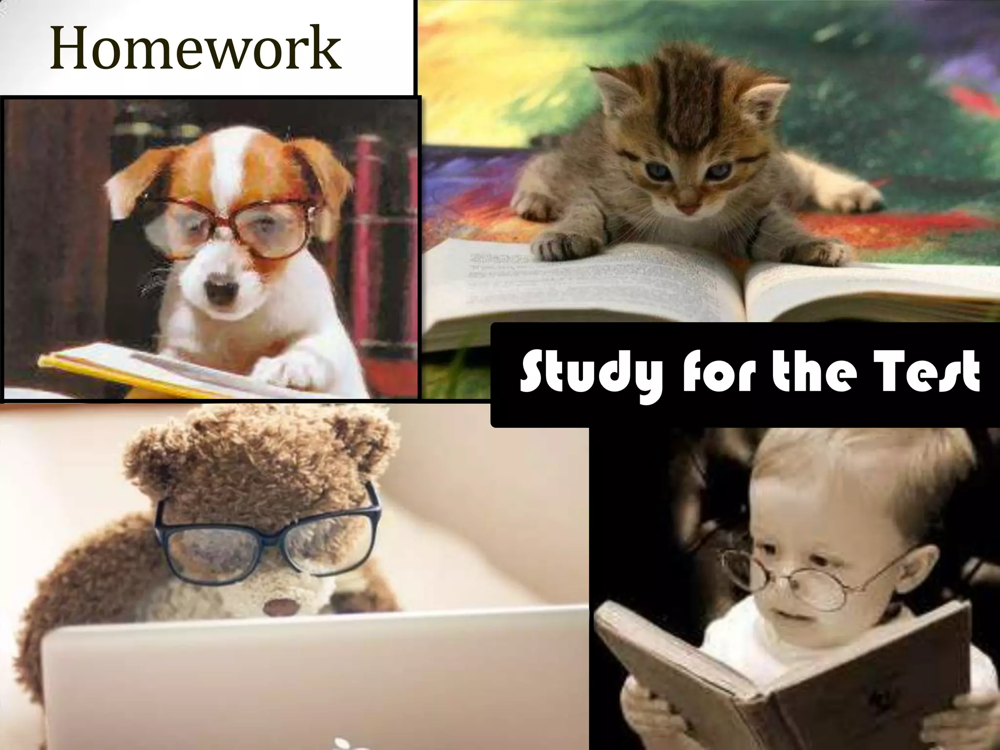 Homework




           Study for the Test
 