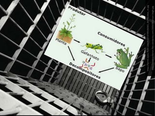 http://s6.thisnext.com/media/largest_dimension/098355A1.jpg