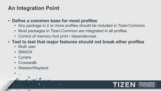 Tdc2014 tizen common_20140603