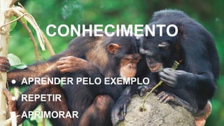 CONHECIMENTO
● APRENDER PELO EXEMPLO
● REPETIR
● APRIMORAR
 