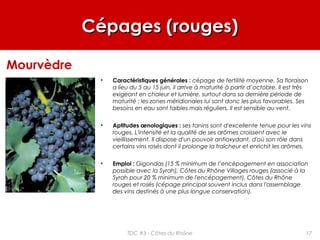 Cépages (rouges)Cépages (rouges)
• Caractéristiques générales : cépage de fertilité moyenne. Sa floraison
a lieu du 5 au 15 juin, il arrive à maturité à partir d’octobre. Il est très
exigeant en chaleur et lumière, surtout dans sa dernière période de
maturité ; les zones méridionales lui sont donc les plus favorables. Ses
besoins en eau sont faibles mais réguliers. Il est sensible au vent.
• Aptitudes œnologiques : ses tanins sont d'excellente tenue pour les vins
rouges. L'intensité et la qualité de ses arômes croissent avec le
vieillissement. Il dispose d'un pouvoir antioxydant, d'où son rôle dans
certains vins rosés dont il prolonge la fraîcheur et enrichit les arômes.
• Emploi : Gigondas (15 % minimum de l’encépagement en association
possible avec la Syrah), Côtes du Rhône Villages rouges (associé à la
Syrah pour 20 % minimum de l'encépagement), Côtes du Rhône
rouges et rosés (cépage principal souvent inclus dans l'assemblage
des vins destinés à une plus longue conservation).
Mourvèdre
17TDC #3 - Côtes du Rhône
 
