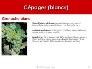 Cépages (blancs)Cépages (blancs)
• Caractéristiques générales : cépage vigoureux, de maturité
intermédiaire (autres caractéristiques : voir Grenache noir).
• Aptitudes œnologiques : il donne des vins blancs assez corsés, peu
acides, ronds et longs en bouche.
• Emploi : Lirac, Tavel, Vacqueyras, Côtes du Rhône Villages blancs et
Côtes du Rhône blancs (dans l'assemblage), Costières de Nîmes,
Coteaux du Tricastin, Côtes du Luberon, Côtes du Ventoux.
Grenache blanc
18TDC #3 - Côtes du Rhône
 