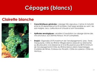 Cépages (blancs)Cépages (blancs)
• Caractéristiques générales : cépage très vigoureux, il arrive à maturité
entre le 25 septembre et le 25 octobre. Il est assez sensible au vent ; les
sols maigres, secs, caillouteux et chauds lui sont favorables.
• Aptitudes œnologiques : sensible à l'oxydation ce cépage donne des
vins onctueux, aux arômes floraux, fins et complexes.
• Emploi : Gigondas (10 % maximum de l’encépagement), Lirac, Tavel,
Vacqueyras, Côtes du Rhône Villages blancs (associé au Grenache,
au Bourboulenc à la Marsanne et à la Roussanne pour 80 % minimum
de l'encépagement) Côtes du Rhône blancs (dans l'assemblage),
Costières de Nîmes, Coteaux du Tricastin, Côtes du Luberon, Côtes du
Ventoux.
Clairette blanche
19TDC #3 - Côtes du Rhône
 