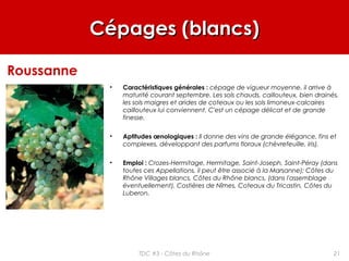 Cépages (blancs)Cépages (blancs)
• Caractéristiques générales : cépage de vigueur moyenne, il arrive à
maturité courant septembre. Les sols chauds, caillouteux, bien drainés,
les sols maigres et arides de coteaux ou les sols limoneux-calcaires
caillouteux lui conviennent. C'est un cépage délicat et de grande
finesse.
• Aptitudes œnologiques : Il donne des vins de grande élégance, fins et
complexes, développant des parfums floraux (chèvrefeuille, iris).
• Emploi : Crozes-Hermitage, Hermitage, Saint-Joseph, Saint-Péray (dans
toutes ces Appellations, il peut être associé à la Marsanne); Côtes du
Rhône Villages blancs, Côtes du Rhône blancs, (dans l'assemblage
éventuellement), Costières de Nîmes, Coteaux du Tricastin, Côtes du
Luberon.
Roussanne
21TDC #3 - Côtes du Rhône
 