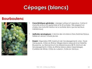 Cépages (blancs)Cépages (blancs)
• Caractéristiques générales : cépage rustique et vigoureux, il arrive à
maturité entre le 25 septembre et le 25 octobre. Très exigeant en
chaleur (sa maturité tardive ne lui autorise donc que les secteurs
méridionaux).
• Aptitudes œnologiques : il donne des vins blancs frais d'arômes floraux,
faibles en alcool, à boire jeunes
• Emploi : Gigondas (10% maximum de l’encépagement), Lirac, Tavel,
Vacqueyras, Côtes du Rhône Villages blancs (associé à la Clairette,
Roussanne, au Grenache et à la Marsanne pour 80 % minimum de
l'encépagement), Côtes du Rhône blancs (dans l'assemblage),
Costières de Nîmes, Côtes du Luberon, Cotes du Ventoux.
Bourboulenc
22TDC #3 - Côtes du Rhône
 