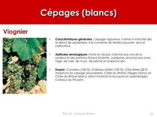 Cépages (blancs)Cépages (blancs)
• Caractéristiques générales : cépage vigoureux, il arrive à maturité dès
le début de septembre. Il se contente de terrains pauvres, secs et
caillouteux.
• Aptitudes œnologiques : riche en alcool, il donne aux vins de la
rondeur et des parfums floraux (violette, aubépine, acacia) puis avec
l'âge, de miel, de musc, de pêche et d'abricot sec.
• Emploi : Condrieu (100 %), Château-Grillet (100 %), Côte-Rôtie (20 %
maximum en cépage secondaire), Côtes du Rhône Villages blancs et
Côtes du Rhône blancs (dont il enrichit le bouquet en assemblage),
Coteaux du Tricastin.
Viognier
23TDC #3 - Côtes du Rhône
 