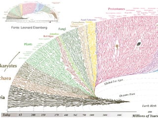 Fonte: Leonard Eisenberg
 