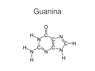 Guanina
 