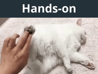 Hands-on