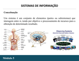 - 3 -
SISTEMAS DE INFORMAÇÃO
Módulo 5
Conceituação
Um sistema é um conjunto de elementos (partes ou subsistemas) que
interagem entre si, tendo por objetivo o processamento de recursos para a
obtenção de determinado resultado.
 