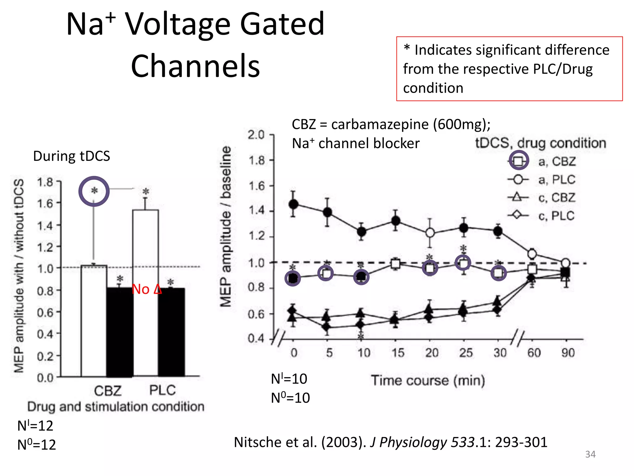 Na+ Voltage Gated
Channels
Nitsche et al. (2003). J Physiology 533.1: 293-301
CBZ = carbamazepine (600mg);
Na+ channel blocker
* Indicates significant difference
from the respective PLC/Drug
condition
NI=12
N0=12
NI=10
N0=10
No ∆
34
During tDCS
 