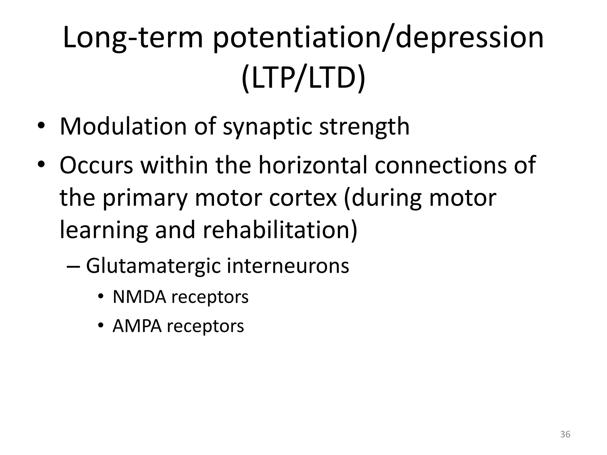Long-term potentiation/depression
(LTP/LTD)
• Modulation of synaptic strength
• Occurs within the horizontal connections of
the primary motor cortex (during motor
learning and rehabilitation)
– Glutamatergic interneurons
• NMDA receptors
• AMPA receptors
36
 