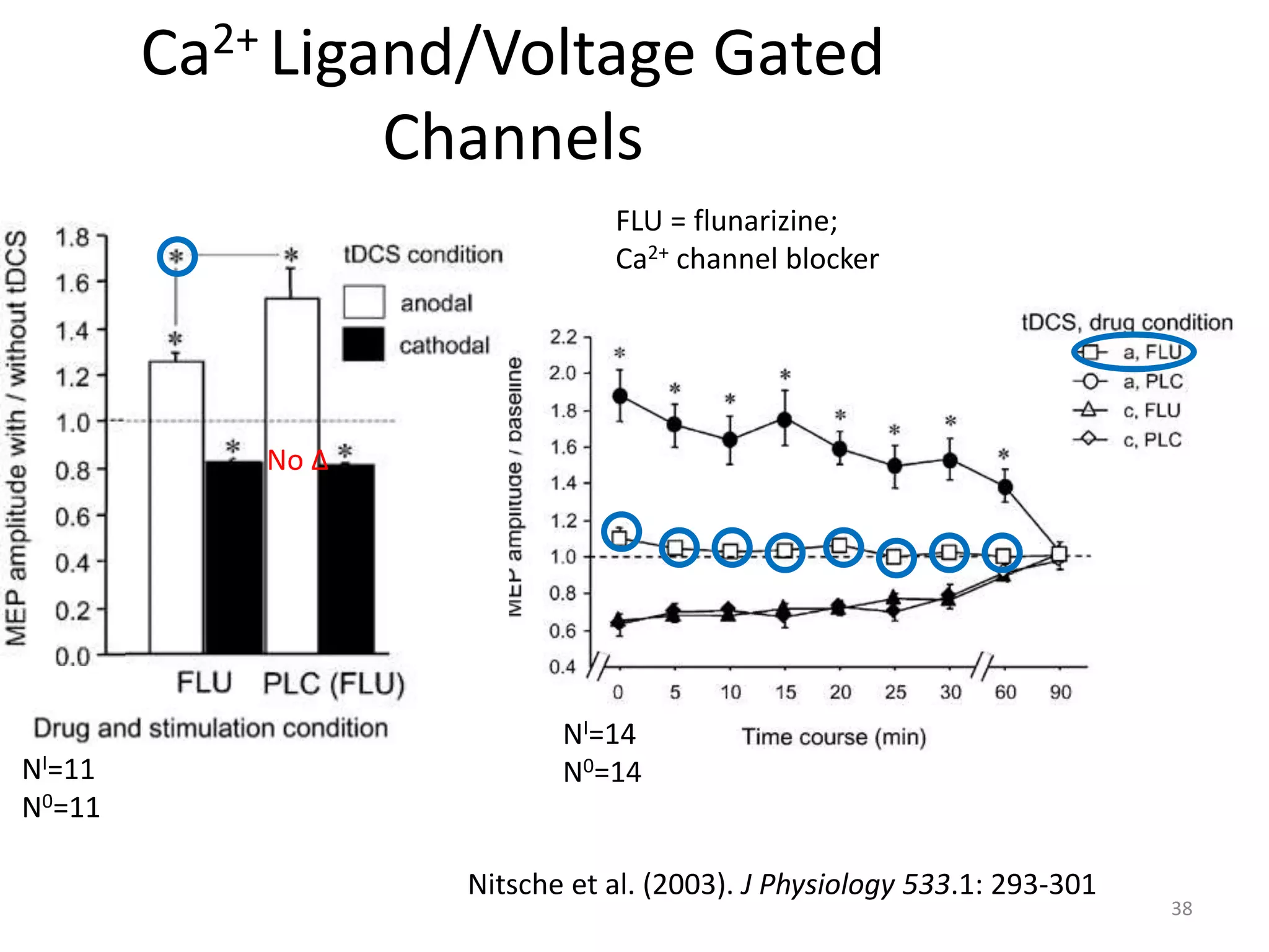Ca2+ Ligand/Voltage Gated
Channels
Nitsche et al. (2003). J Physiology 533.1: 293-301
FLU = flunarizine;
Ca2+ channel blocker
NI=11
N0=11
NI=14
N0=14
No ∆
38
 