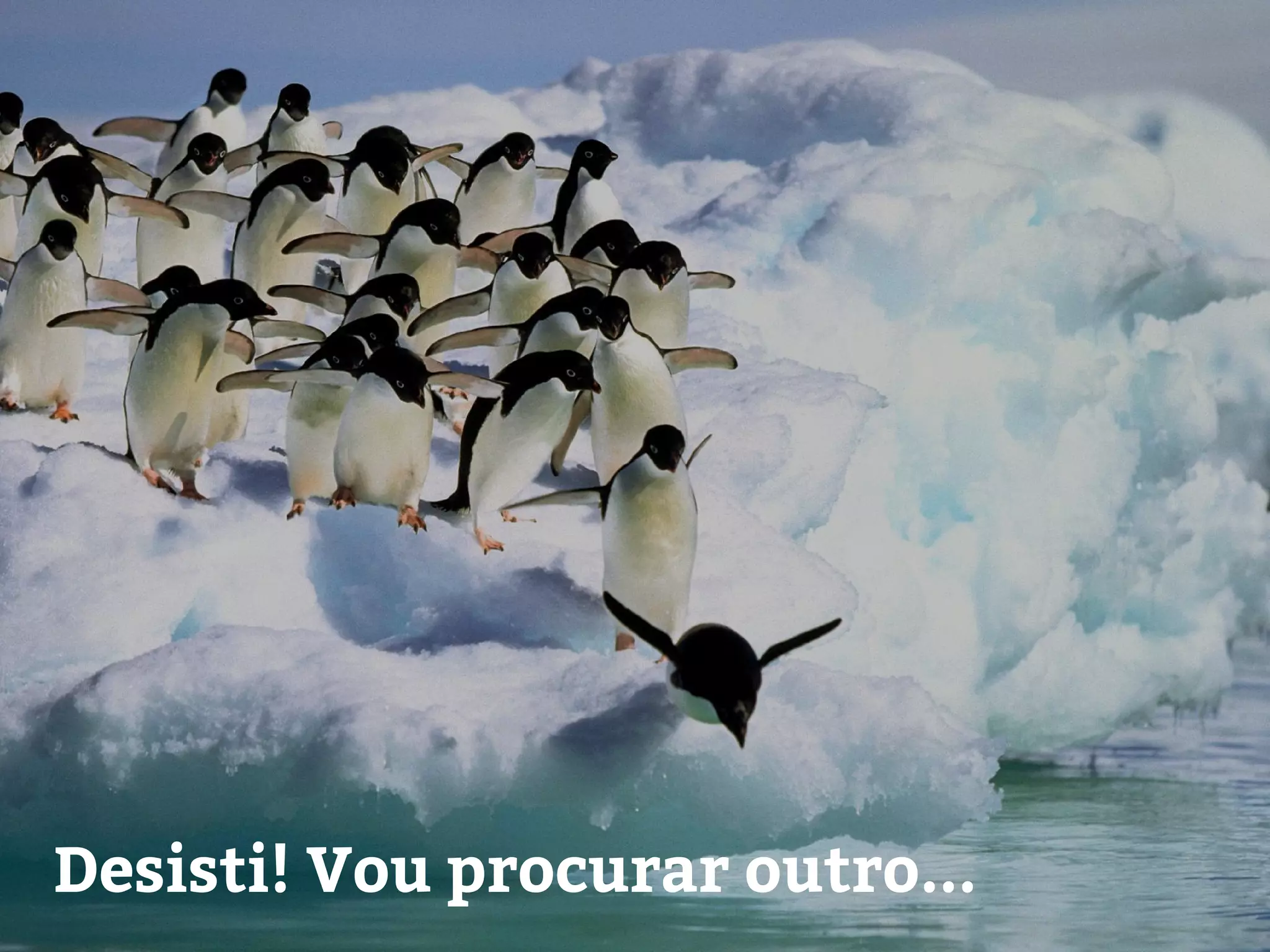 Desisti! Vou procurar outro...
 