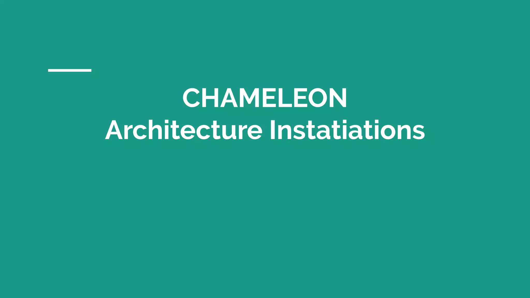 CHAMELEON
Architecture Instatiations
 