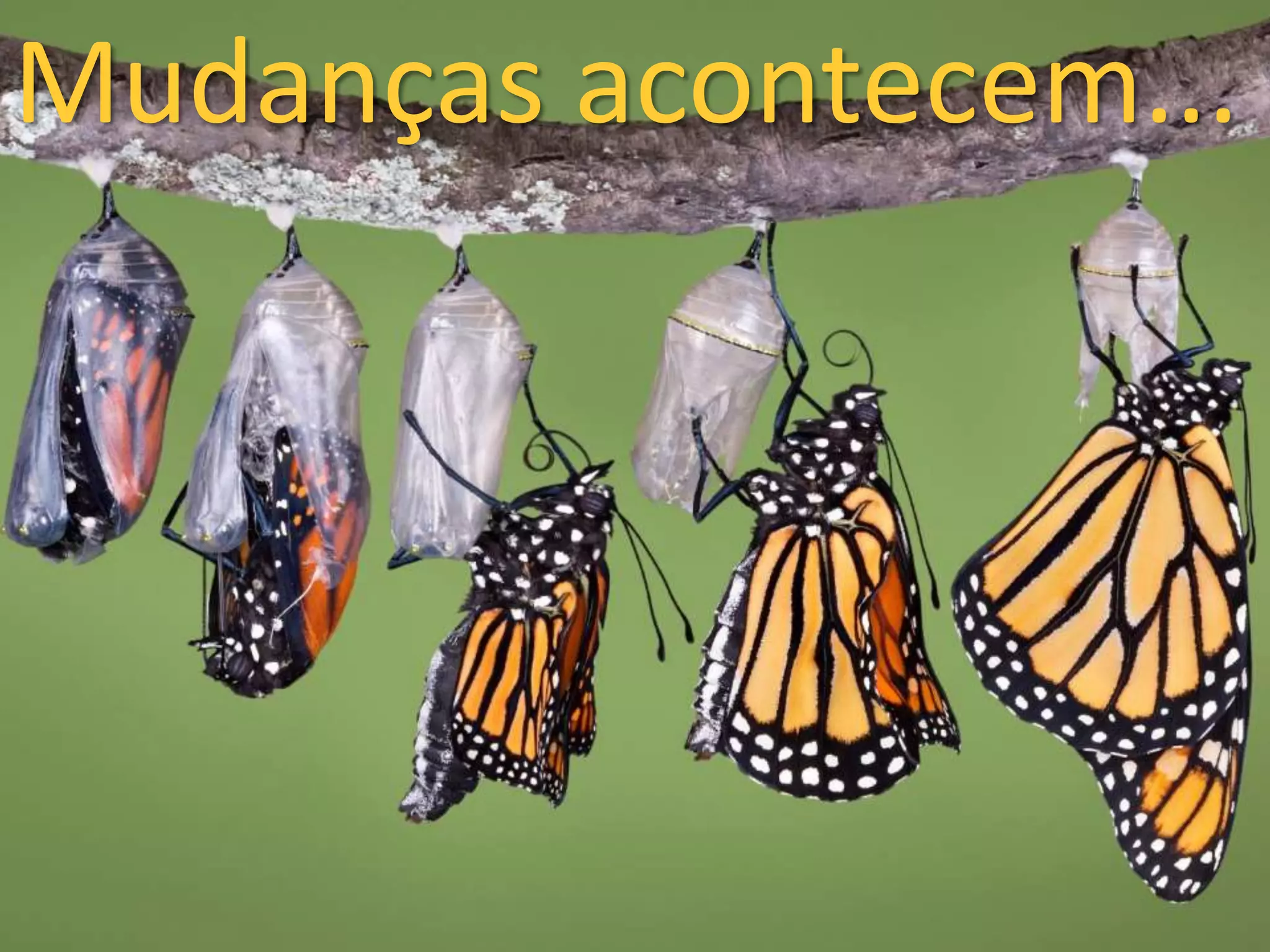 Mudanças acontecem... 
 