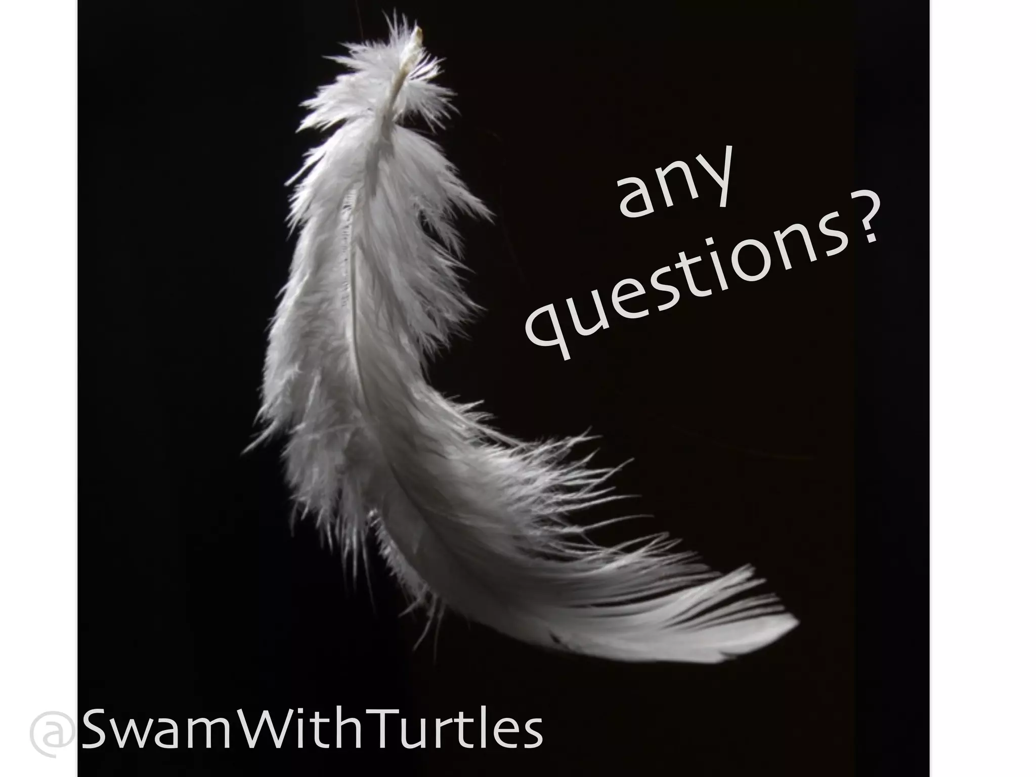 any 
questions? 
@SwamWithTurtles 
