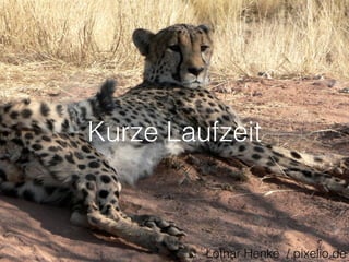 Kurze Laufzeit 
Lothar Henke / pixelio.de 
 