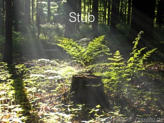 Stub 
Bernd Kasper / pixelio.de 
 