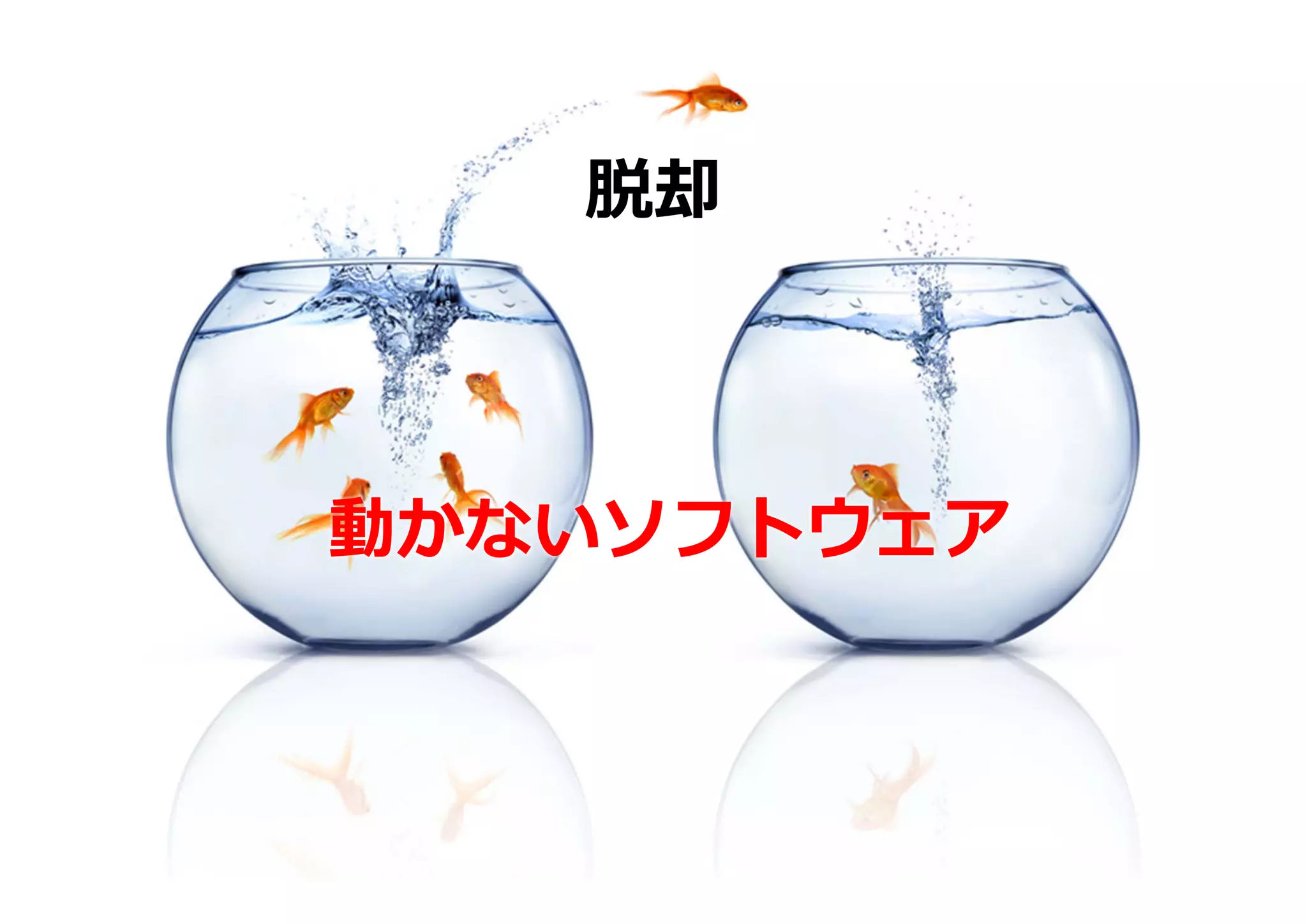 脱却



動かないソフトウェア
 