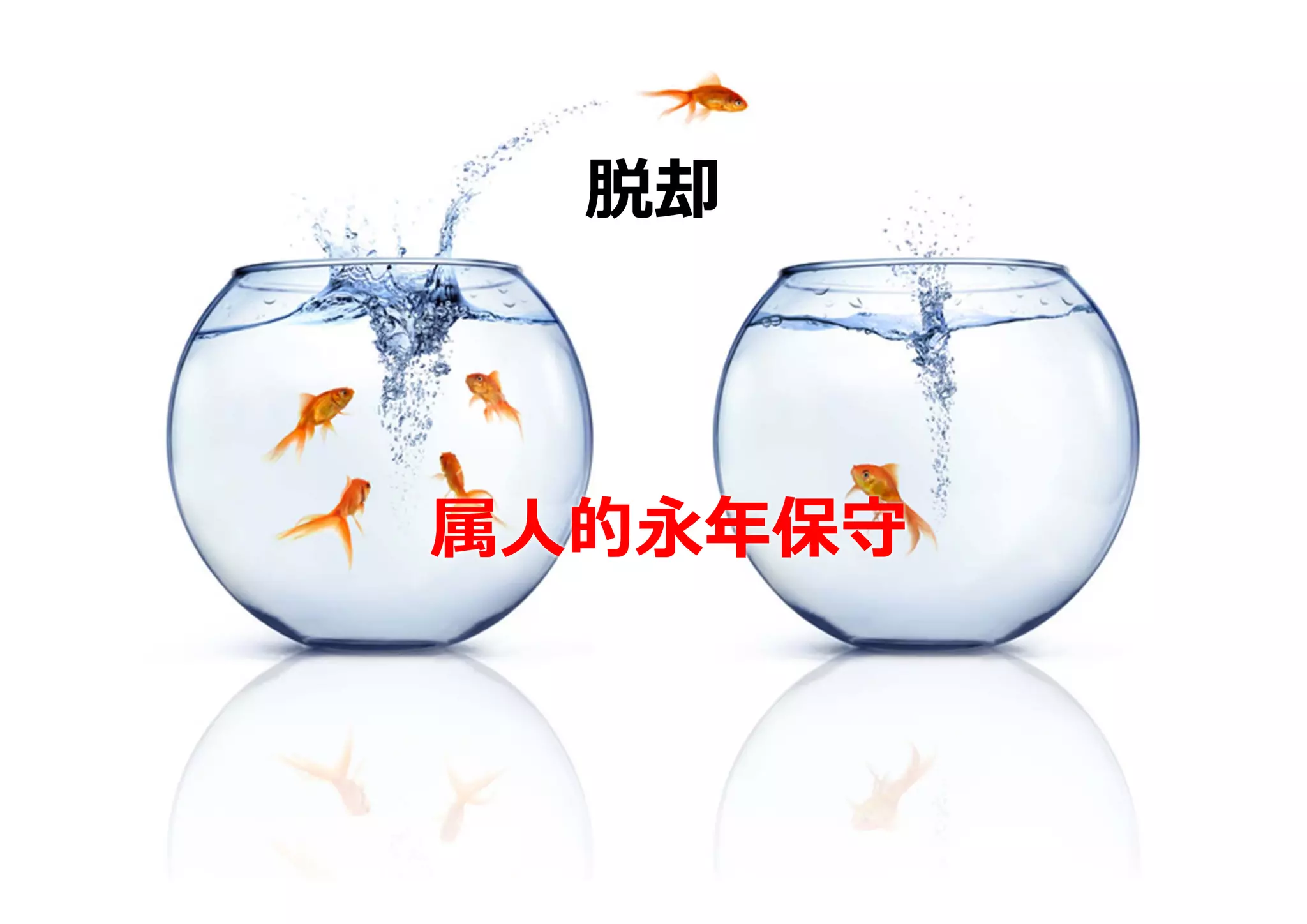 脱却



属⼈的永年保守
 