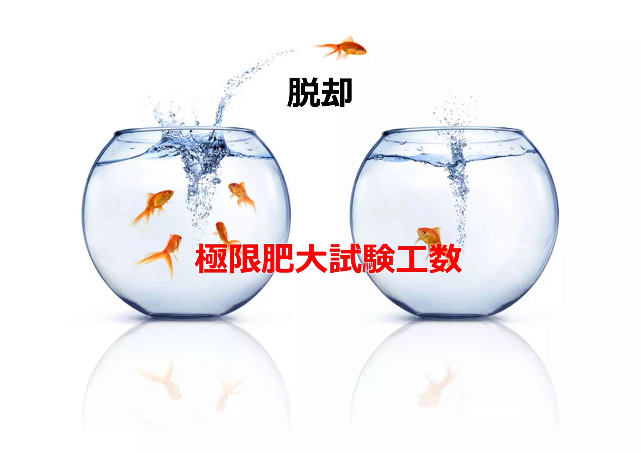 脱却



極限肥⼤試験⼯数
 