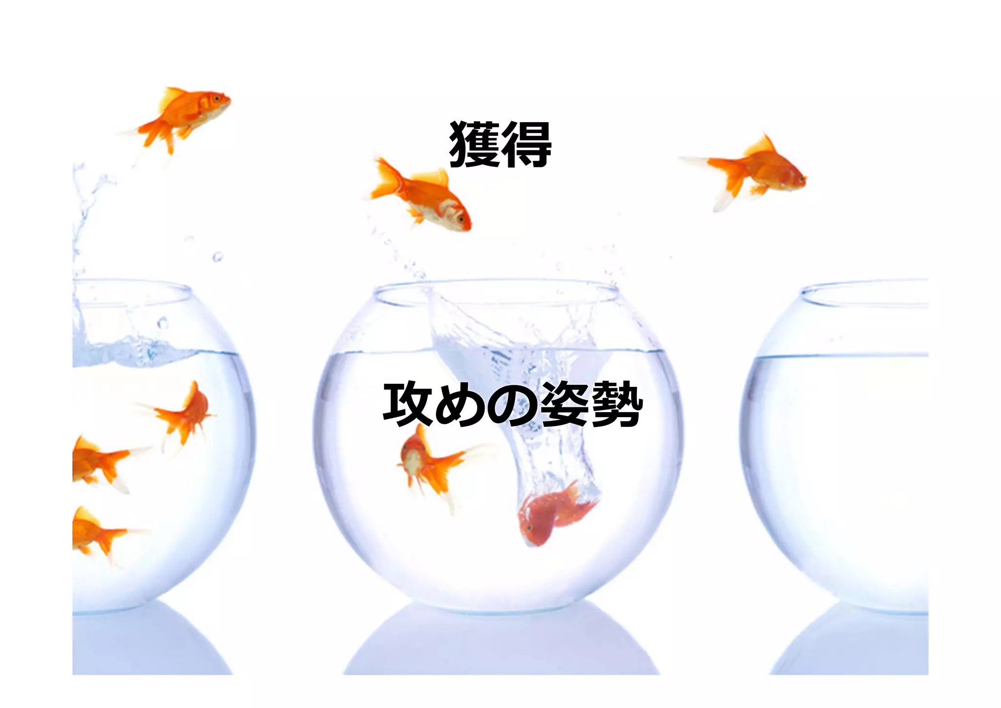 獲得



攻めの姿勢
 