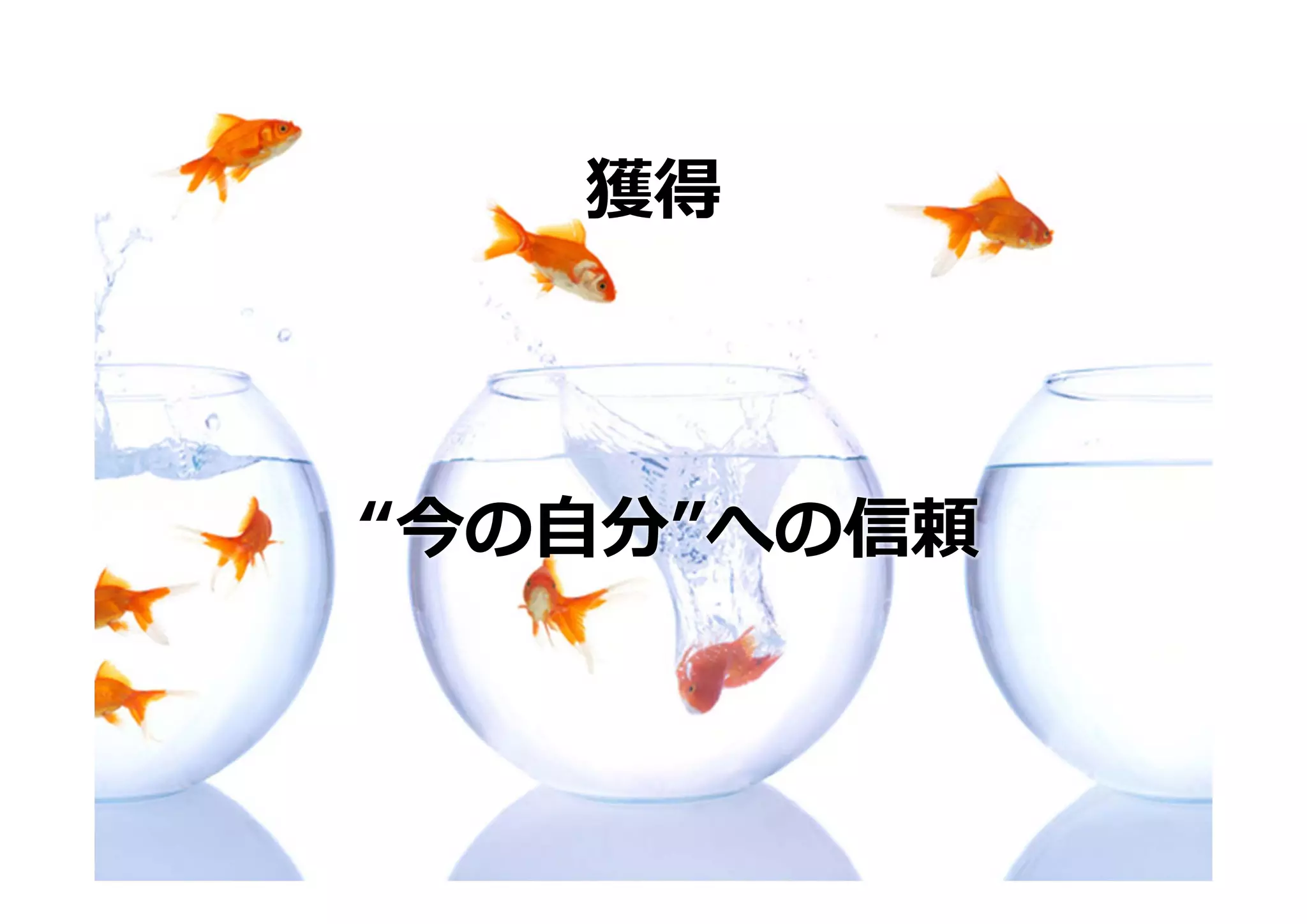 獲得



“今の⾃分”への信頼
 