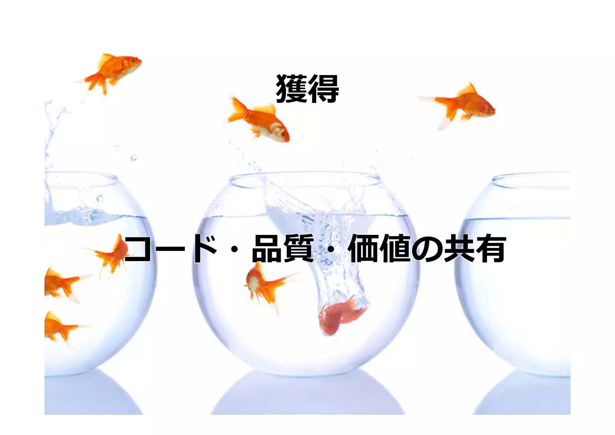 獲得



コード・品質・価値の共有
 