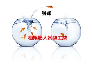 脱却



極限肥⼤試験⼯数
 