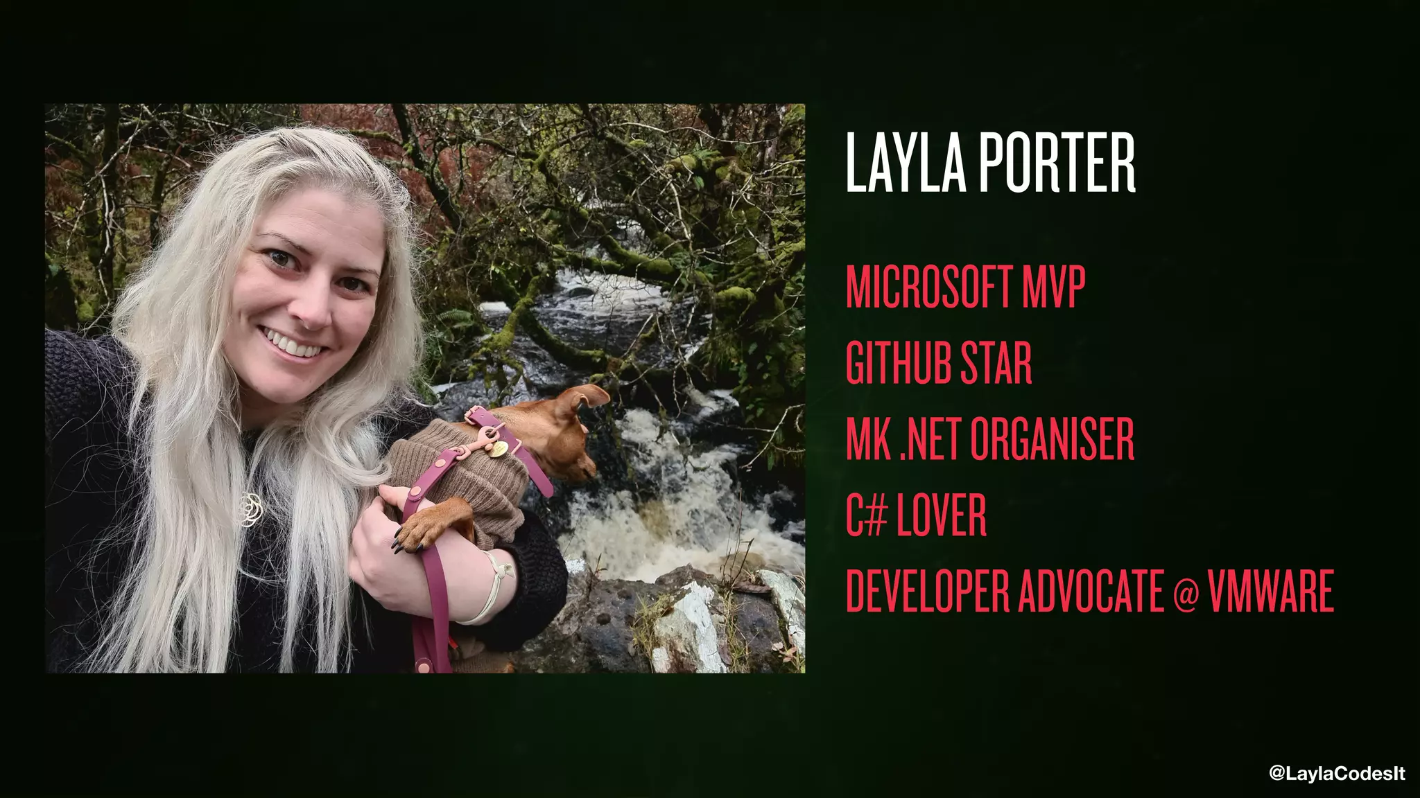 @LaylaCodesIt
MICROSOFTMVP


GITHUBSTAR


MK.NETORGANISER


C#LOVER


DEVELOPERADVOCATE@VMWARE


LAYLAPORTER
 