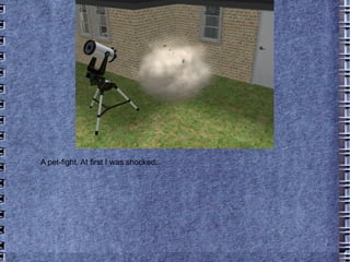 A pet-fight. At first I was shocked... 