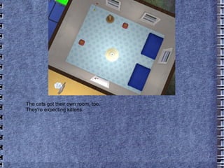 The cats got their own room, too. They're expecting kittens. 