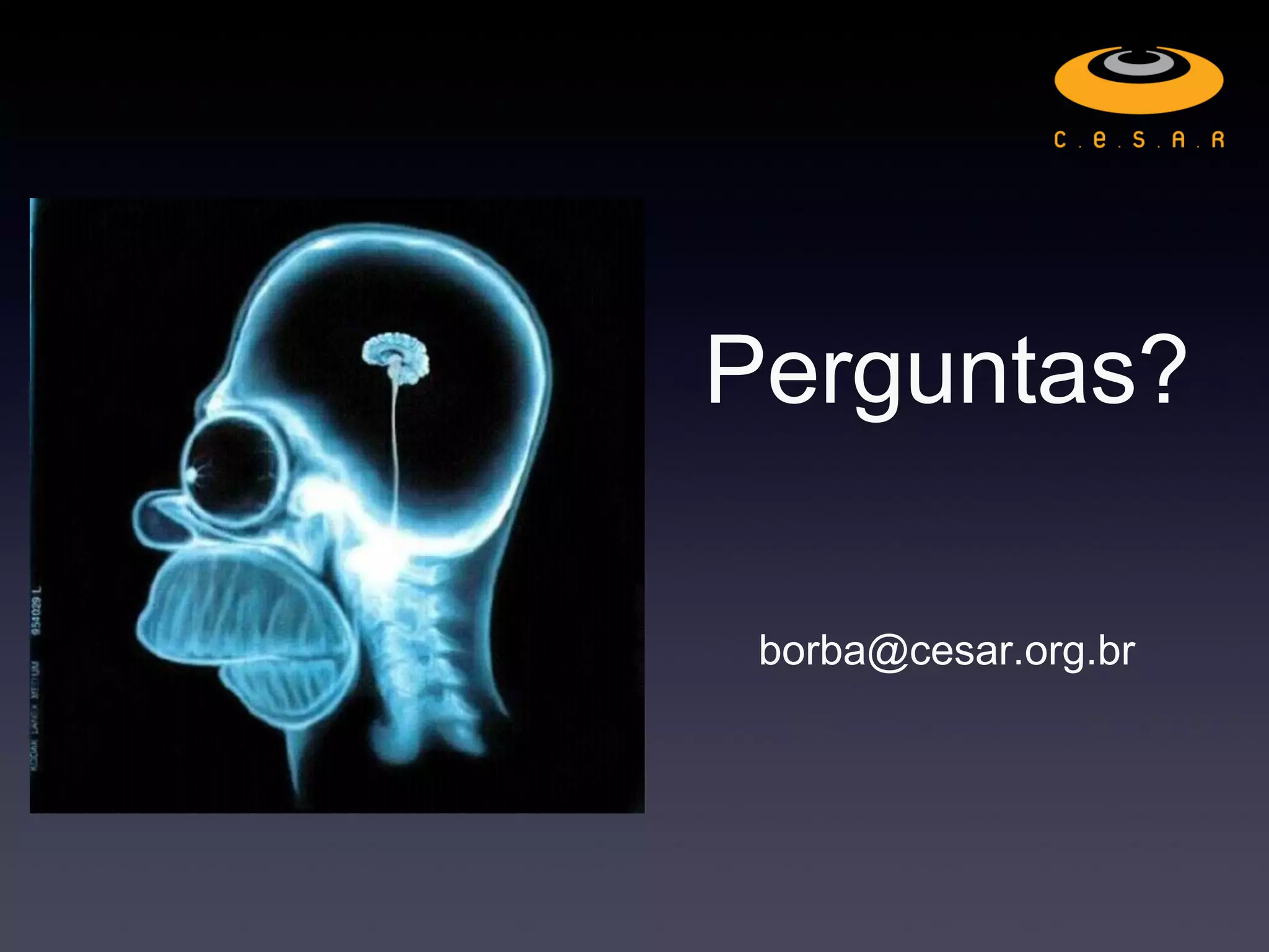 Perguntas?
borba@cesar.org.br
