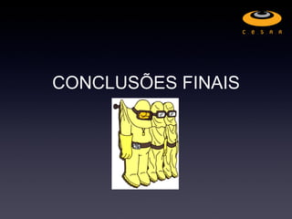 CONCLUSÕES FINAIS
 