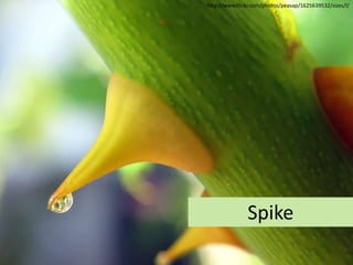 Wouldn’t it be cool if...